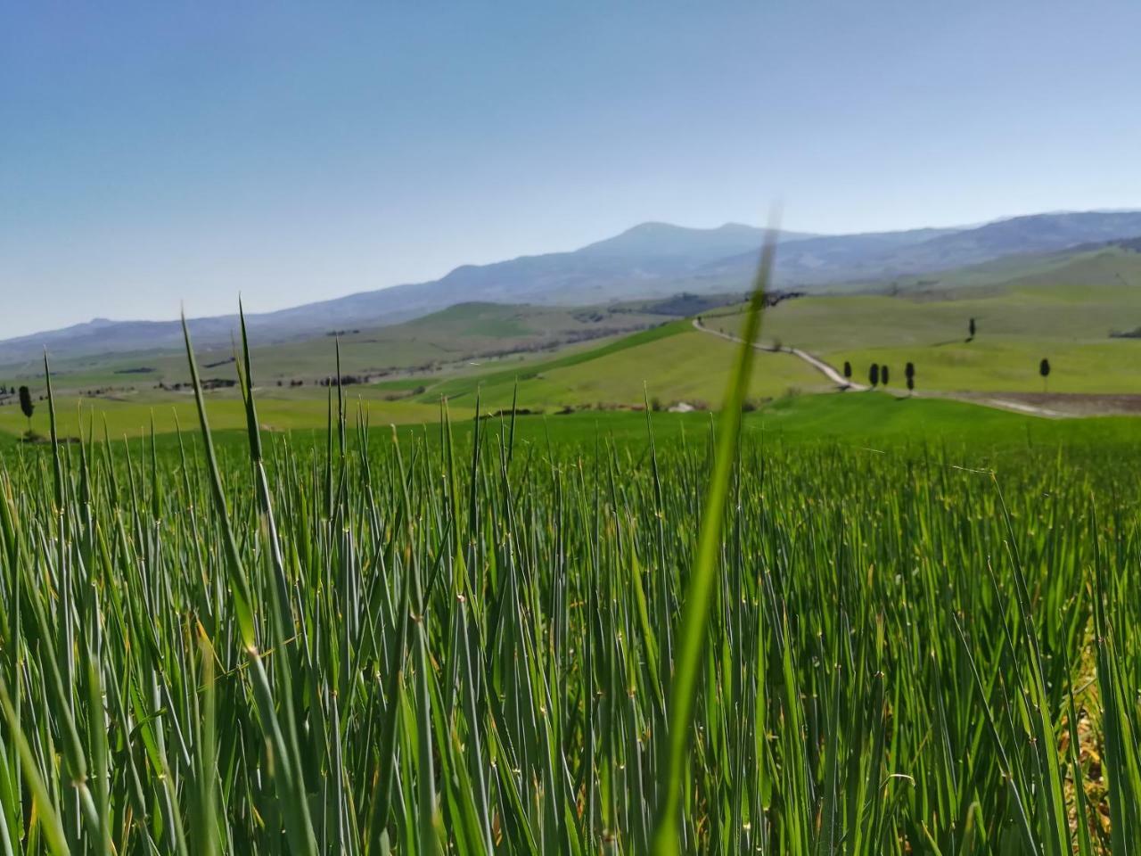 بيينْسا Il Giglio B&B المظهر الخارجي الصورة